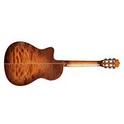 Horizontal back view of Fusion 12 Cinnamon Burst thumb