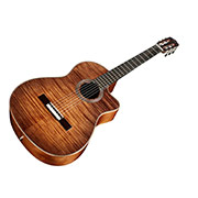 Angled front view of Fusion 12 Cinnamon Burst thumb