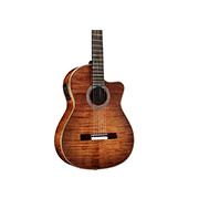 Vertical close-up body view of Fusion 12 Cinnamon Burst thumb