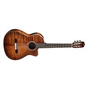 Horizontal side view of Fusion 12 Cinnamon Burst thumb