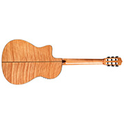 Horizontal back view of Fusion 14 Maple thumb