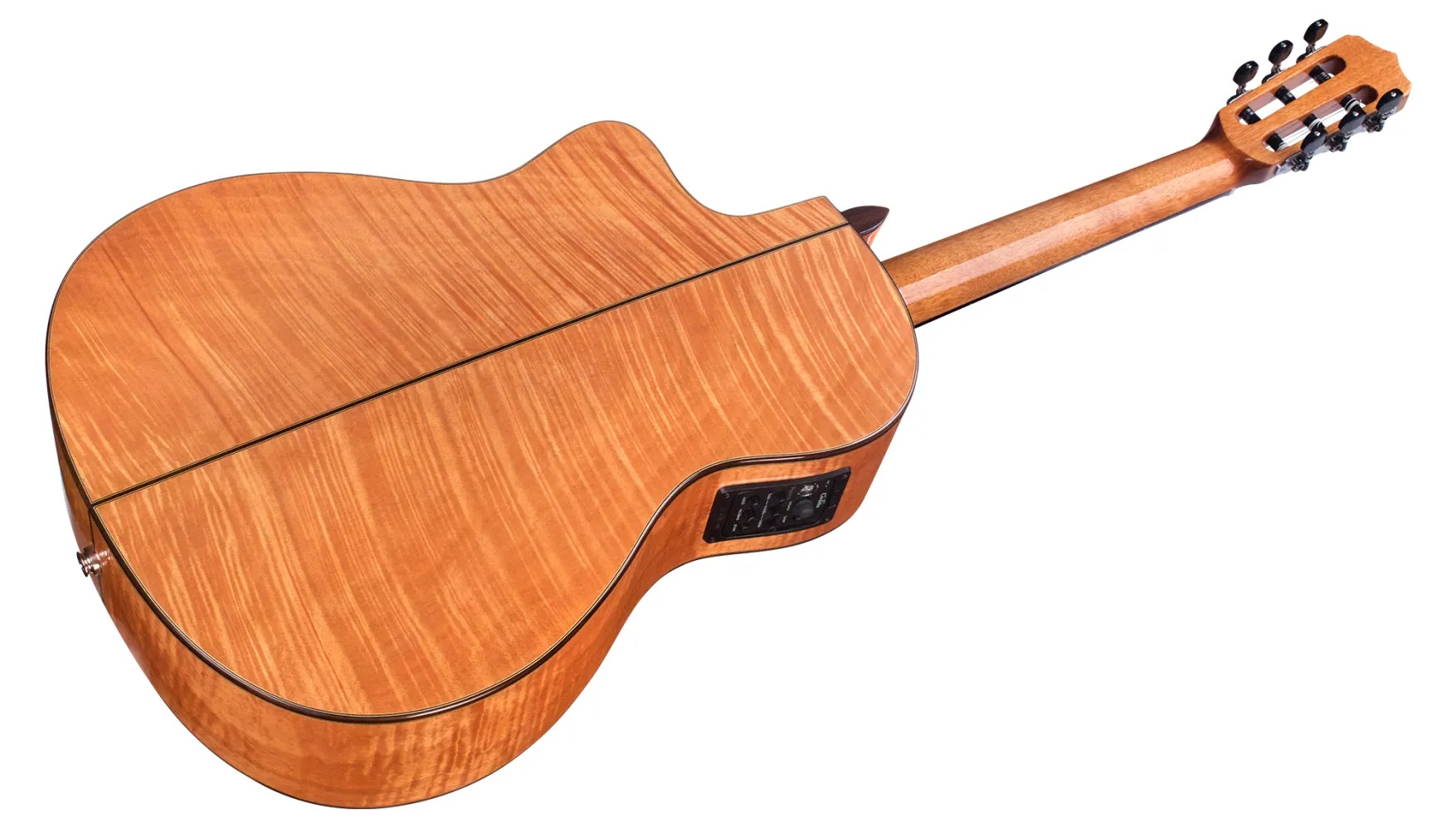 Angled back view of Fusion 14 Maple