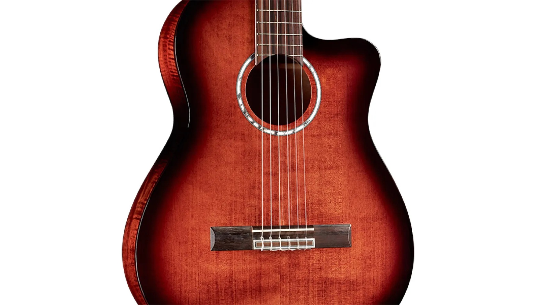 Close-up body view of Fusion 5 Edge Burst