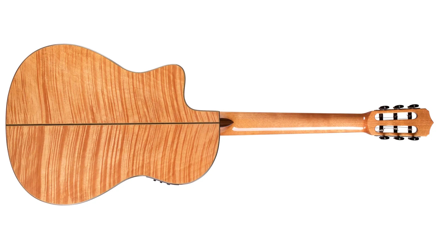 Horizontal back view of Fusion 14 Maple
