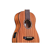 Close-up body view of Mini II Bass MH-E thumb