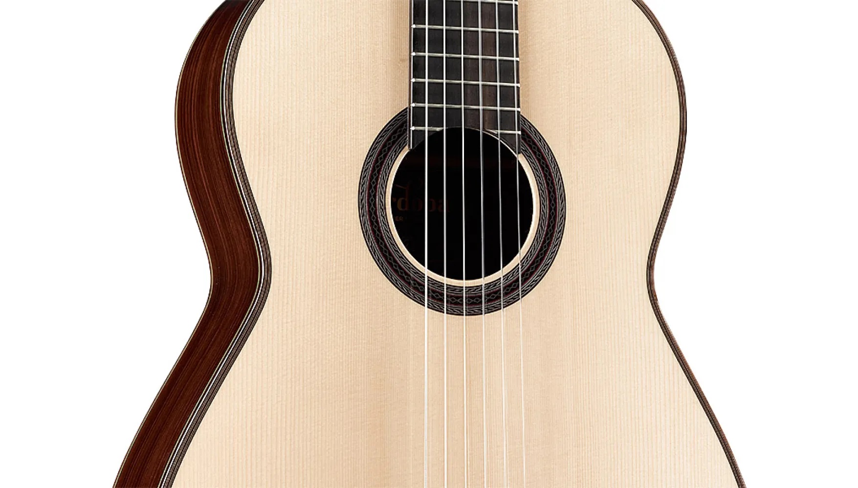 Close-up body view of Hauser