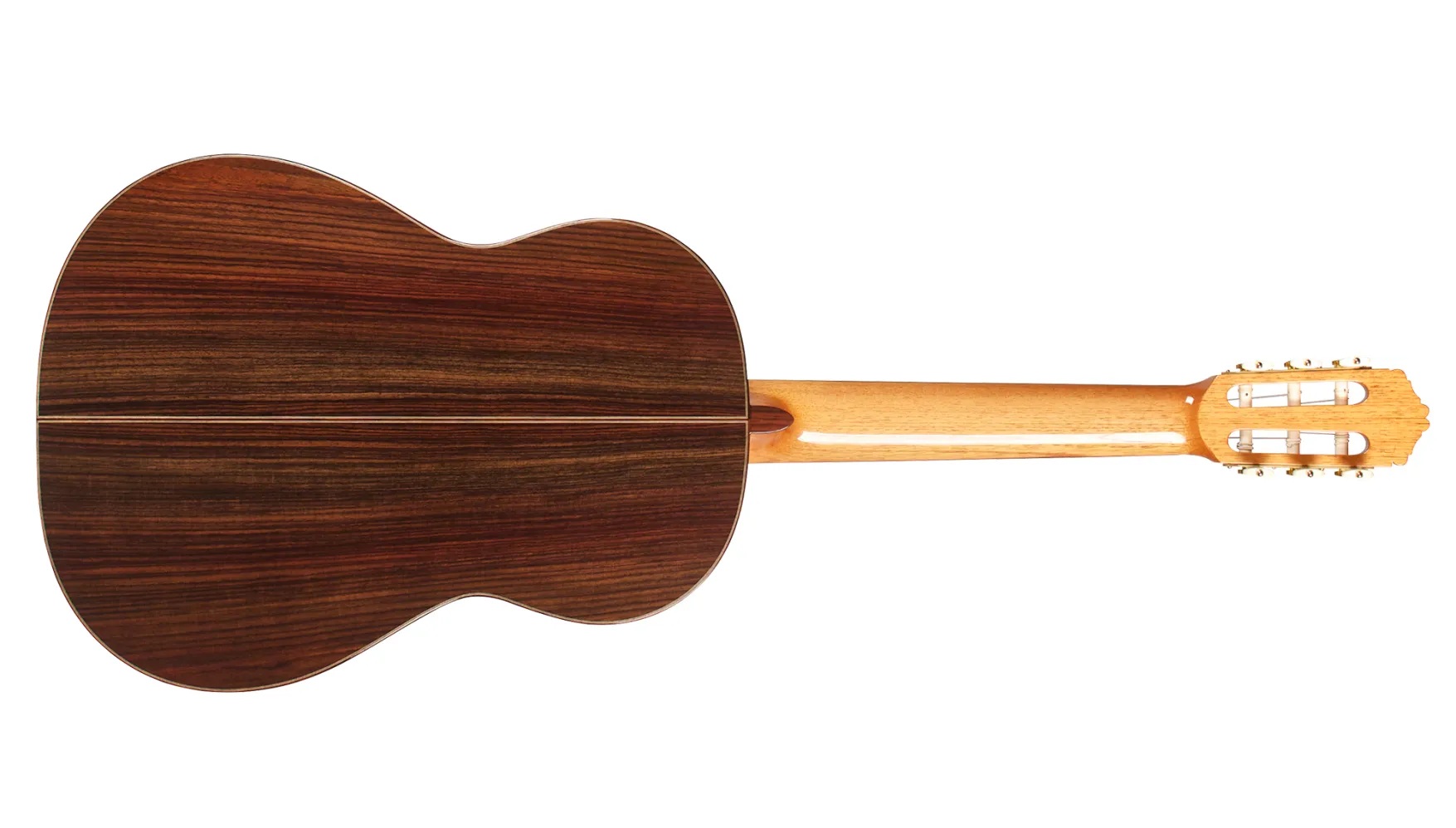 Horizontal back view of Rodriguez