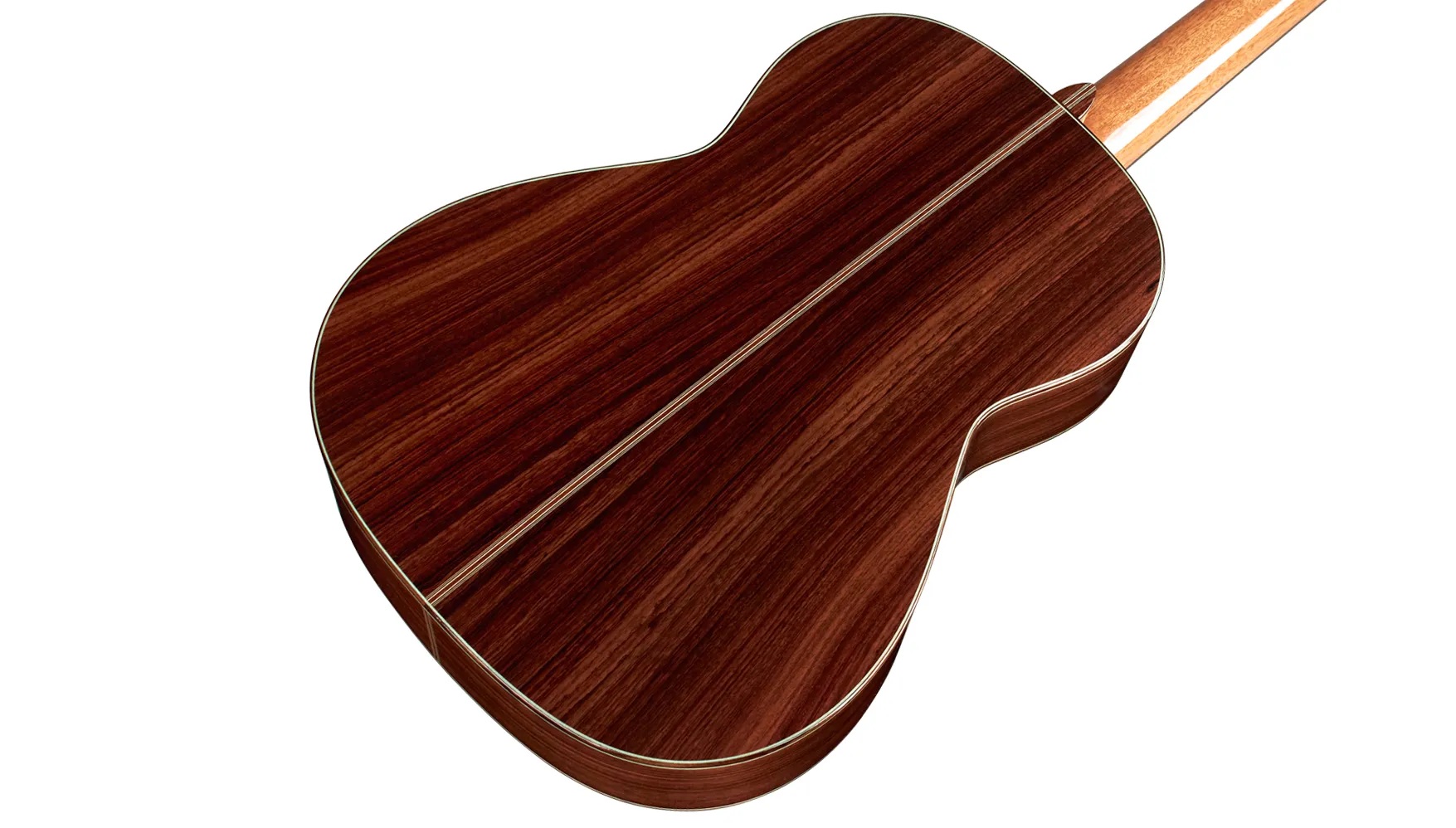 Angled close-up back body view of Hauser