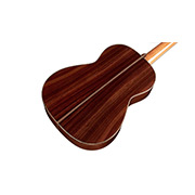 Angled close-up back body view of Hauser thumb