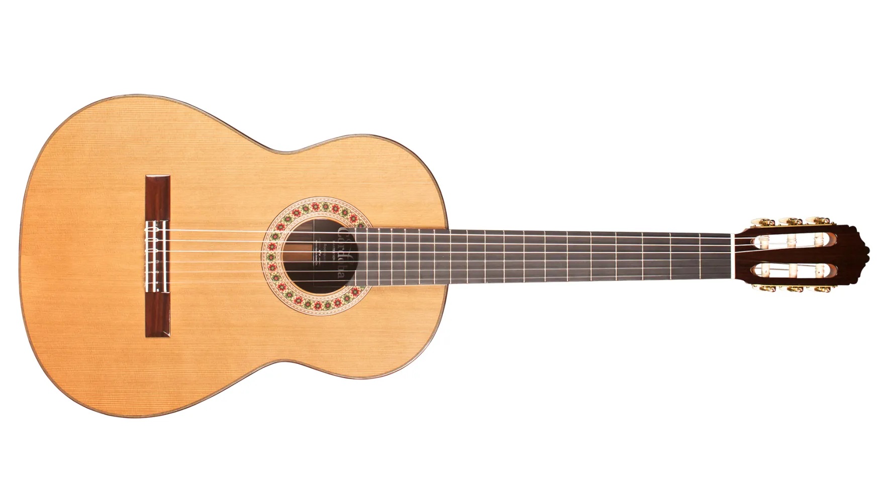 Horizontal front view of Rodriguez