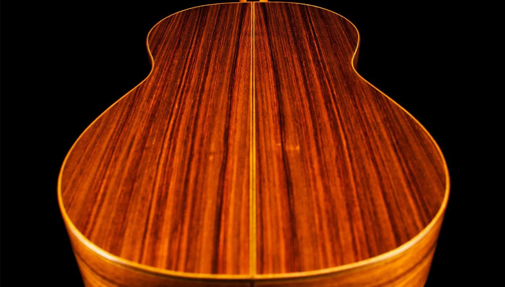 Close-up back body view of Rodriguez