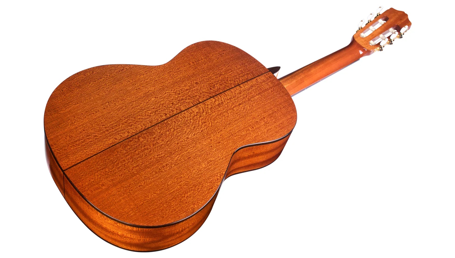 Angled back view of C5 SP