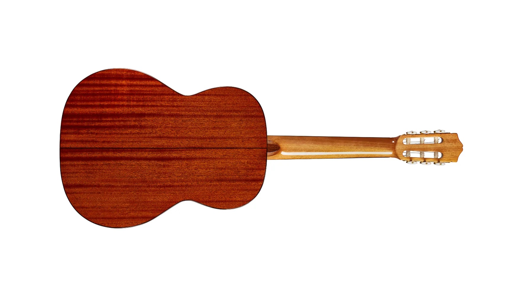 Horizontal back view of C5