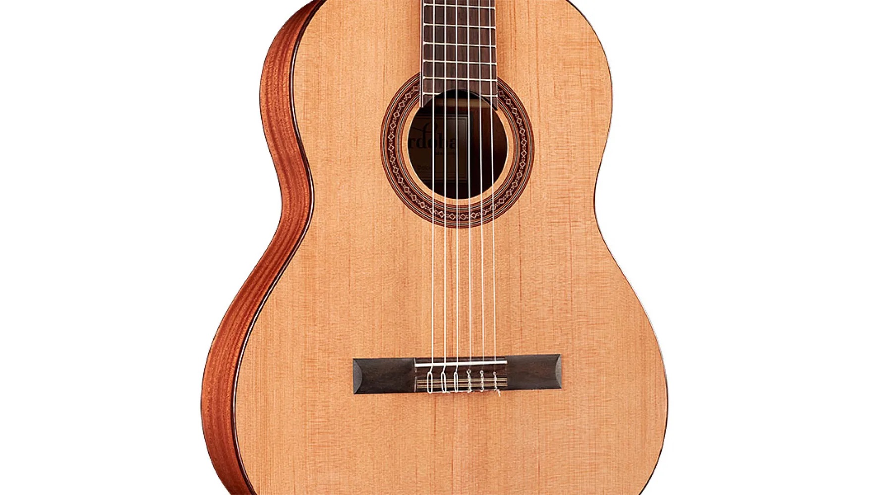 Close-up body view of Dolce