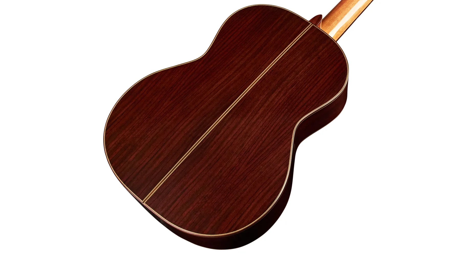 Angled close-up back body view of C7 SP
