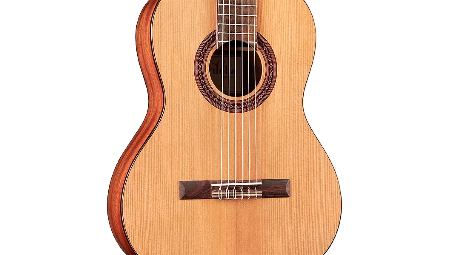 Close-up body view of Cadete