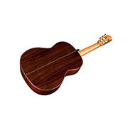 Angled back view of C7 CD thumb