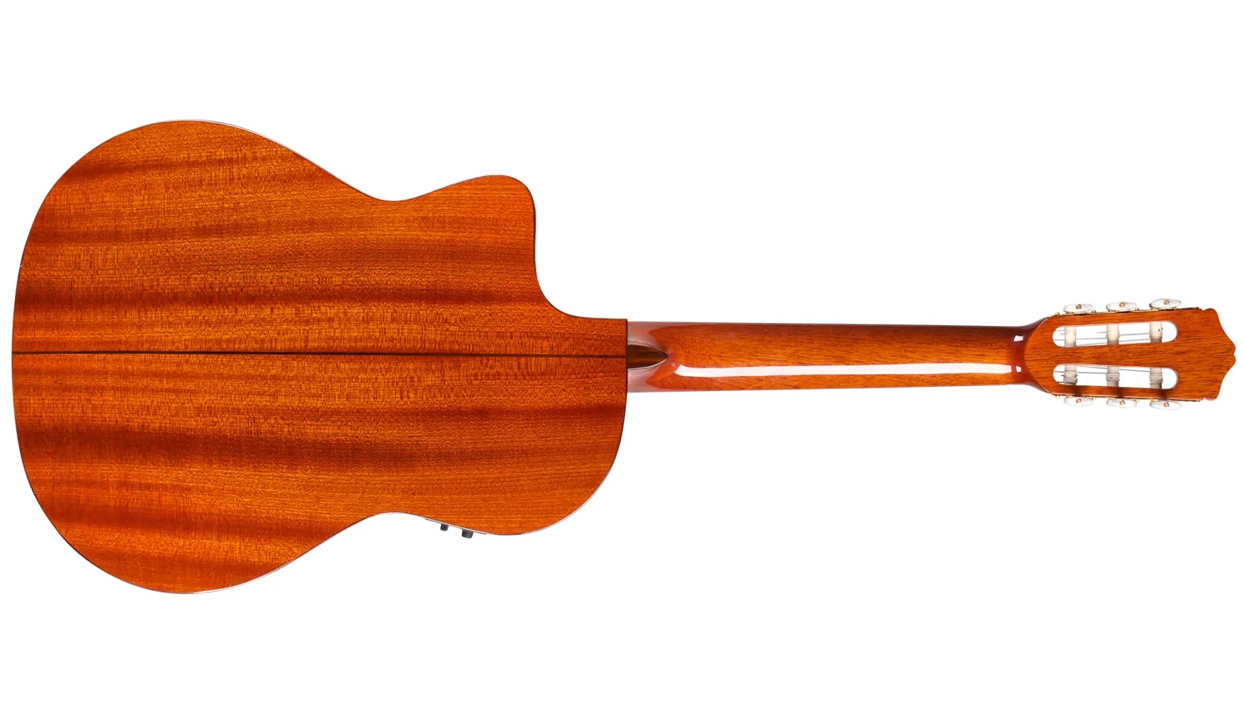 Horizontal back view of C5-CE