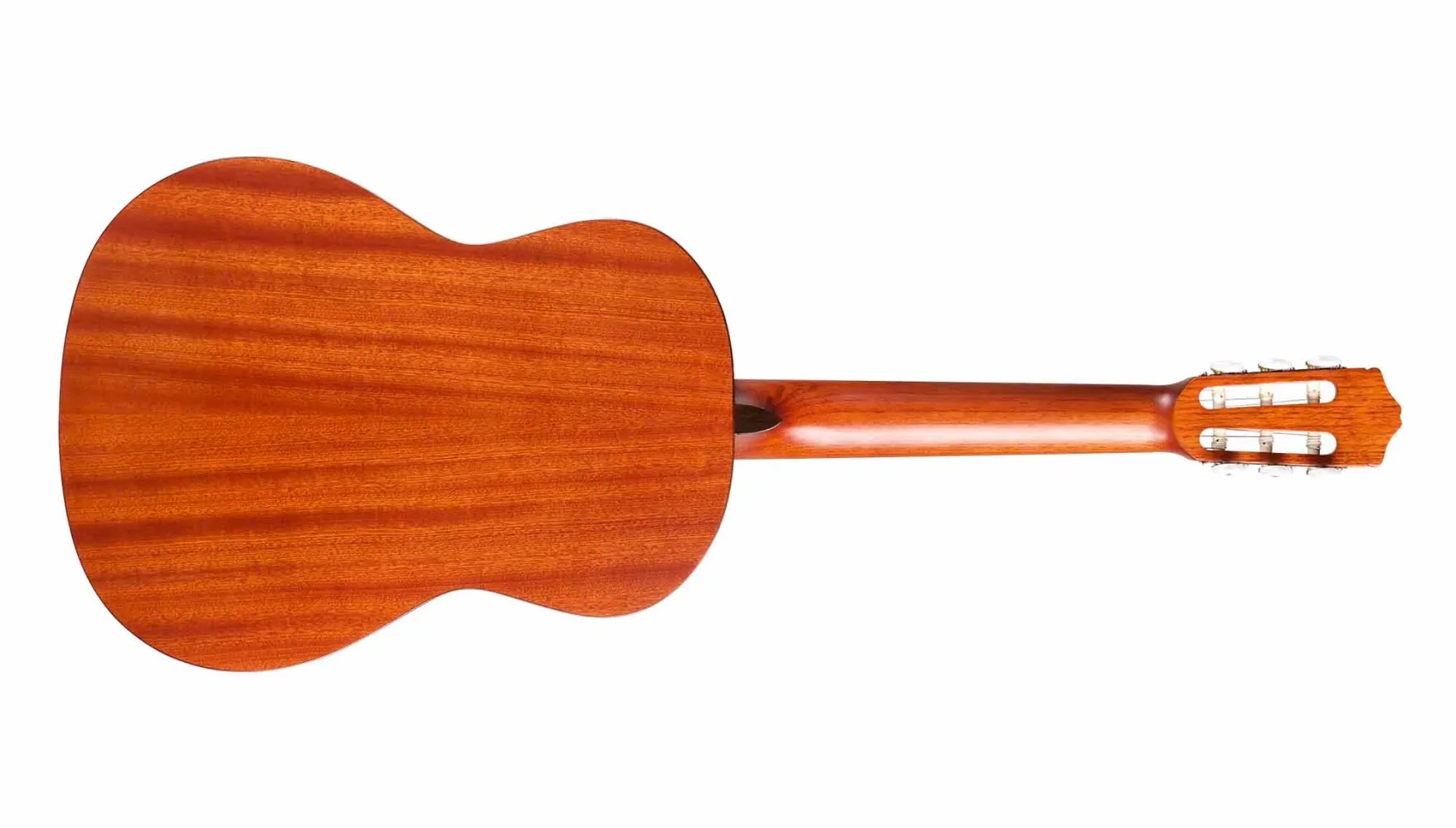 Horizontal back view of C3M