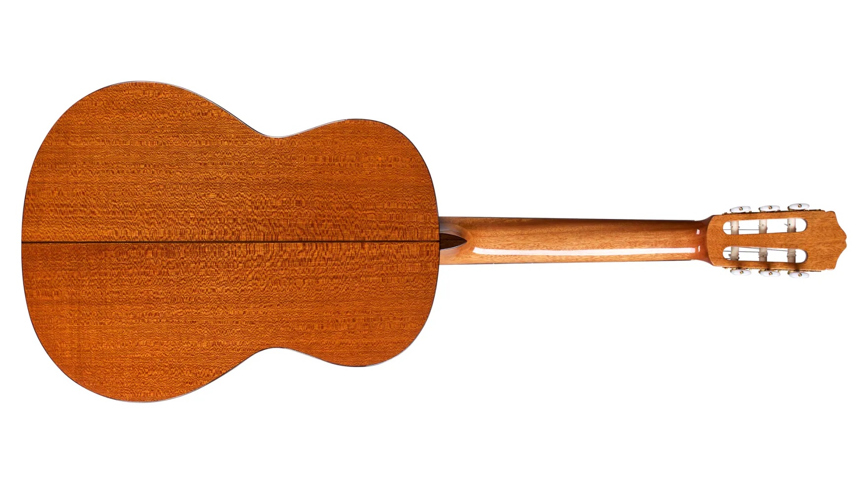 Horizontal back view of C5 SP