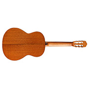 Horizontal back view of C5 SP thumb