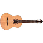 Horizontal front view of Dolce thumb