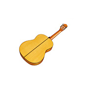 Angled back view of F10 ukulele thumb