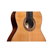 Close-up body view of Friederich ukulele thumb