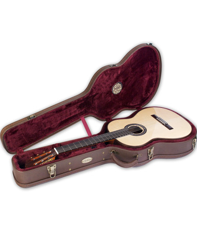 Vertical front view of Deluxe Electric Gig Bag