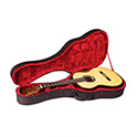 Polyfoam Guitar Case thumbnail