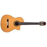 Horizontal front view of Fusion Orchestra CE Pro
