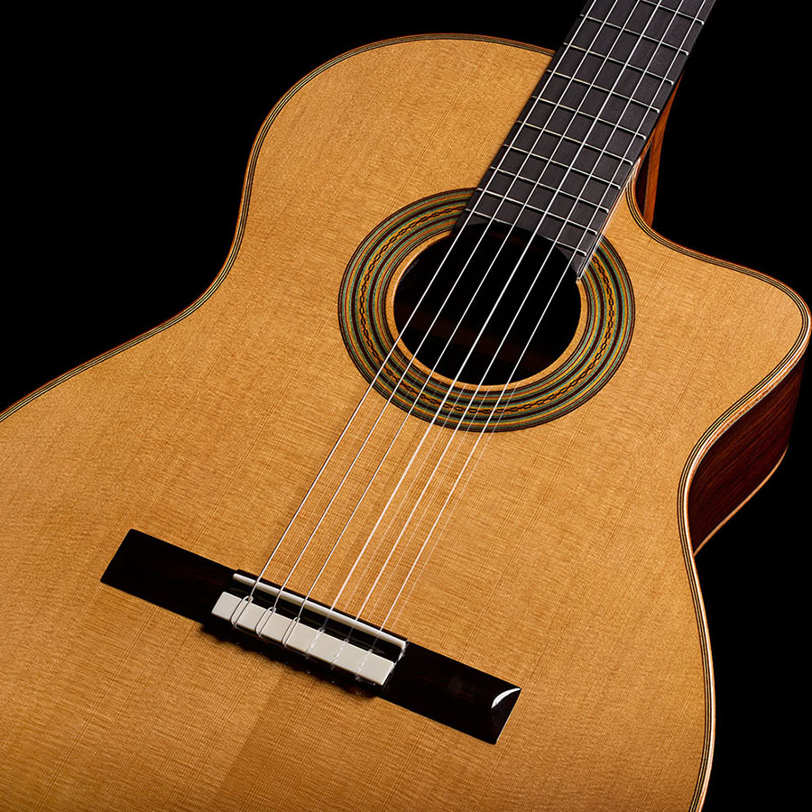 Close-up front view of the lower bout, showing the cedar top, and soundhole of the Orchestra CE Pro.