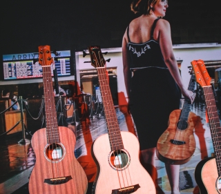 The Namm Show 2019! The Namm Show 2019!