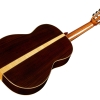 C12 CD