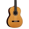 C12 CD