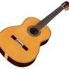 C12 CD