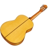 F10 Flamenco