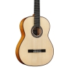 F10 Flamenco