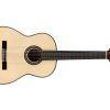 F10 Flamenco