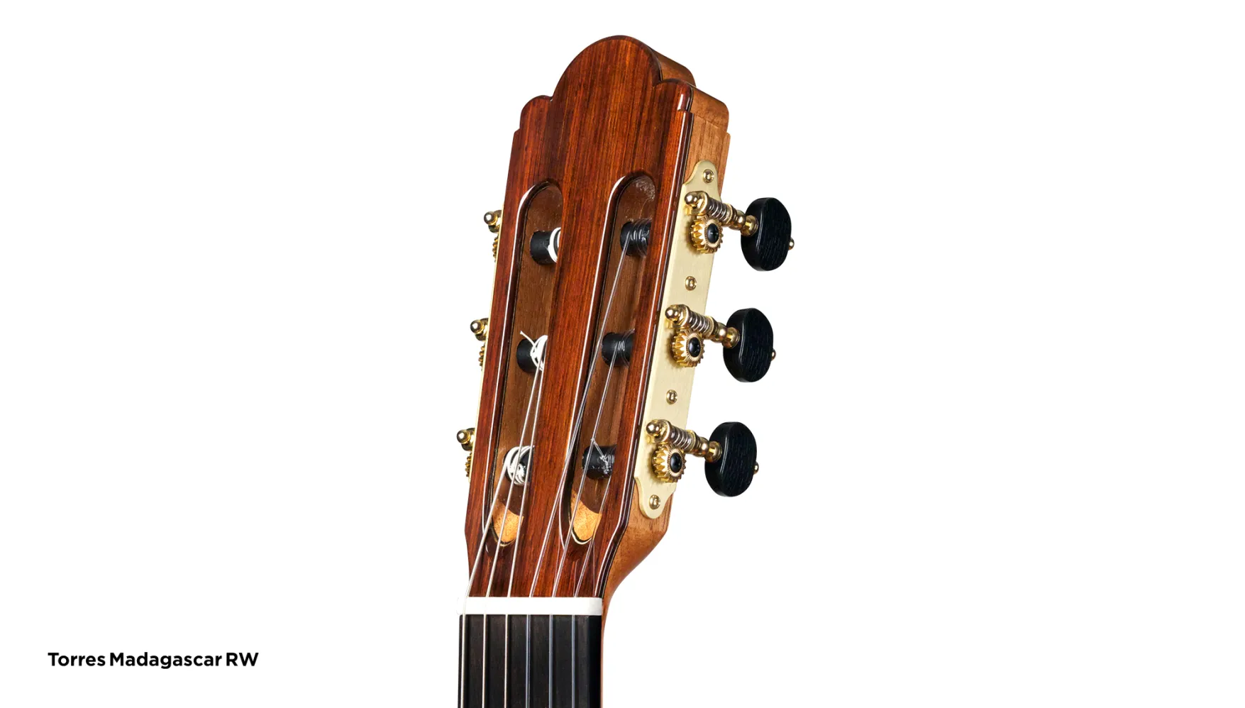 Torres Limited - Cordoba Guitars
