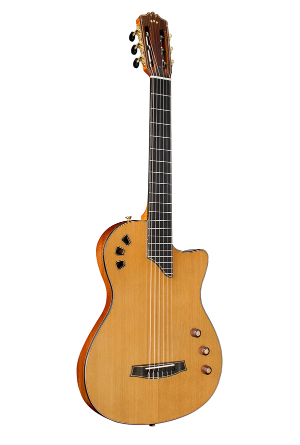 Stage Artist Traditional