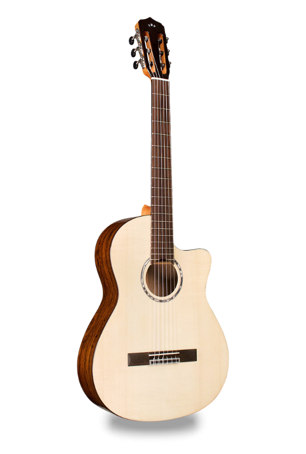 Fusion 5 Limited Bocote Discontinued Cordoba Guitars